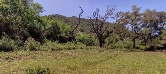 Terreno em Serra-di-Fiumorbo, France 1000 m² N.º 219771 4