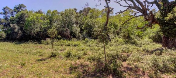 Terreno em Serra-di-Fiumorbo, France 1000 m² N.º 219771 2