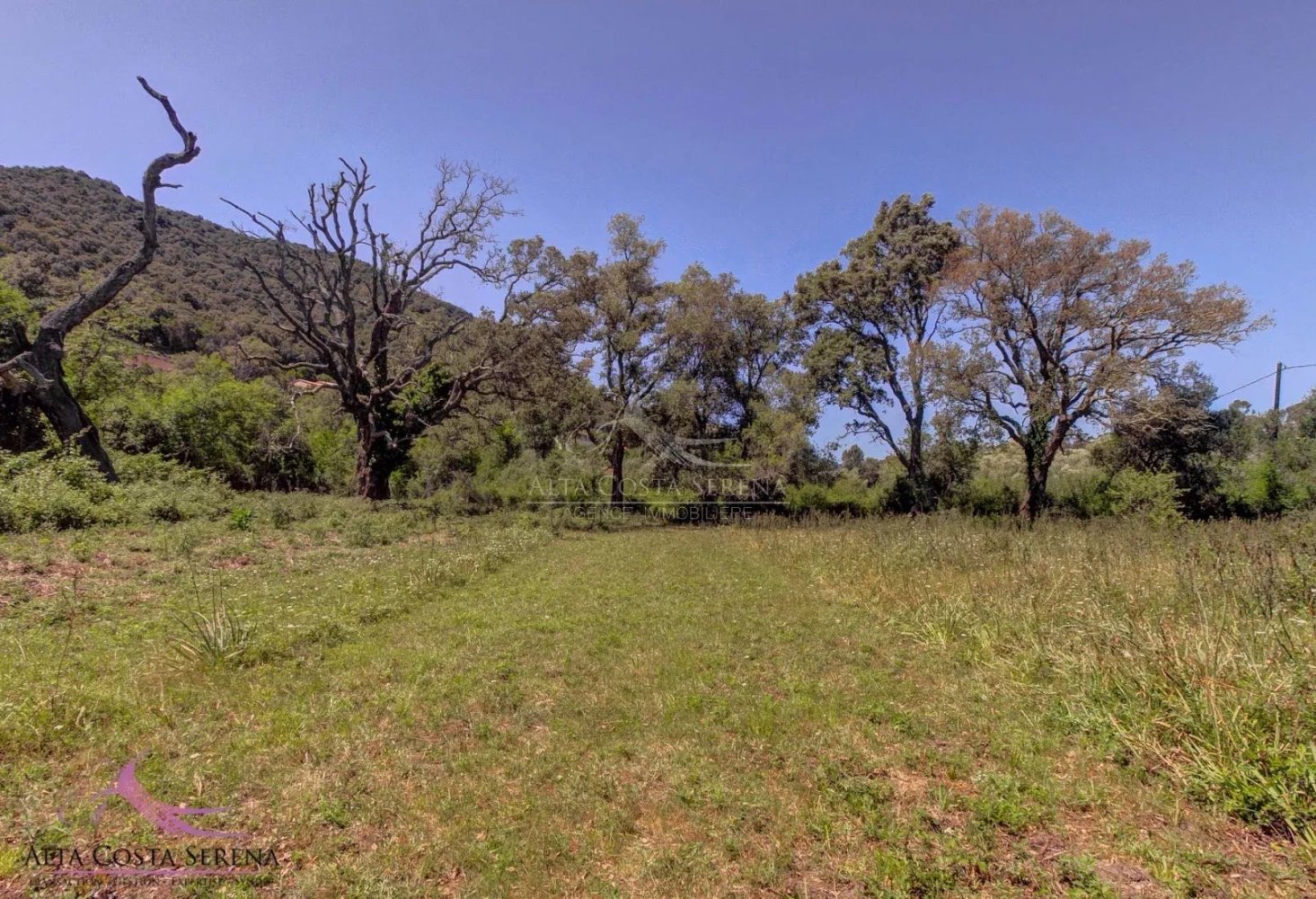 Terreno em Serra-di-Fiumorbo, France 1000 m² N.º 219771