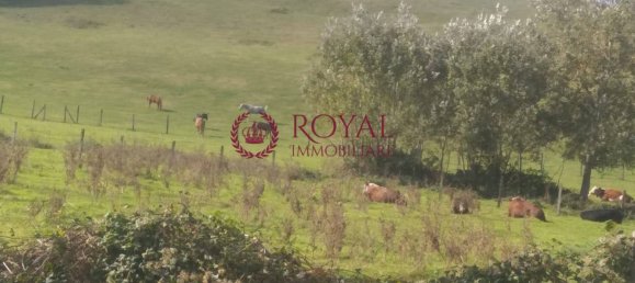 7 bedrooms House in Casciana Terme Lari, Italy No. 238607 22