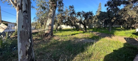 Grundstück in Cordoba, Spain 1226m², Nr. 155976 4