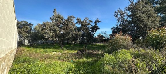 Grundstück in Cordoba, Spain 1226m², Nr. 155976 8