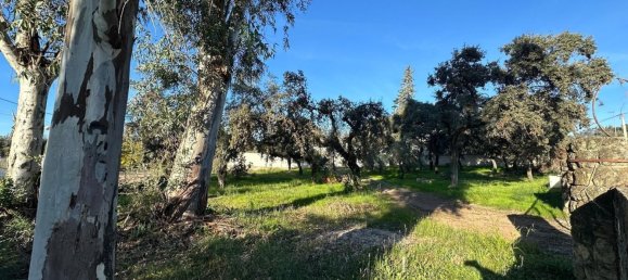 Grundstück in Cordoba, Spain 1226m², Nr. 155976 10