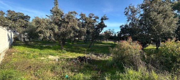 Grundstück in Cordoba, Spain 1226m², Nr. 155976 7