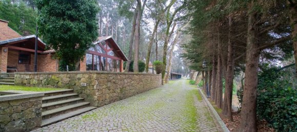 9 bedrooms House in Oliveira de Azemeis, Portugal No. 72037 50