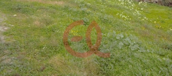 Grundstück in Viana do Castelo, Portugal 4000m², Nr. 57781 3