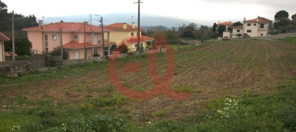 Grundstück in Viana do Castelo, Portugal 4000m², Nr. 57781 4