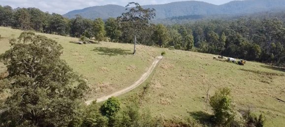 3 bedrooms House in Frazers Creek, Australia No. 91 11