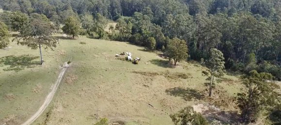 3 bedrooms House in Frazers Creek, Australia No. 91 16