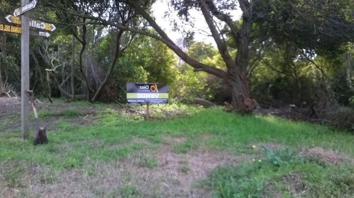  Land in Mar del Plata, Argentina No. 115525