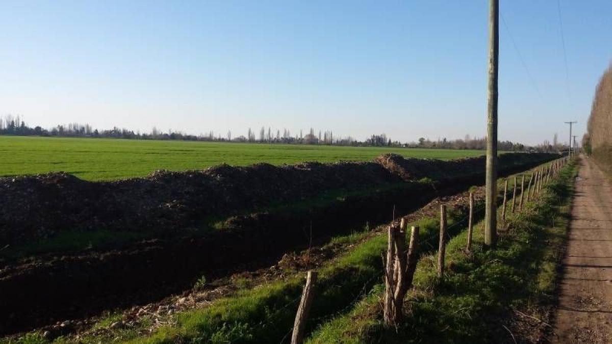 Grundstück in Maule, Chile, Nr. 800