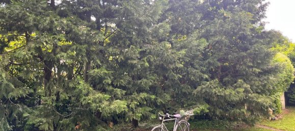 Вилла с 7 комнатами в Виллорба, Италия № 285226 43