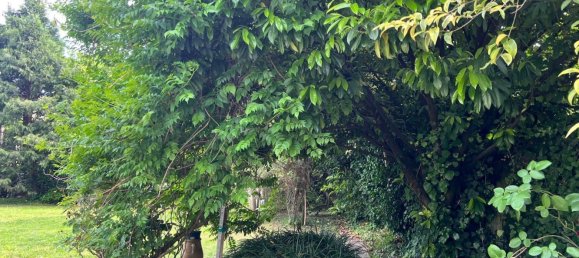 Вилла с 7 комнатами в Виллорба, Италия № 285226 45