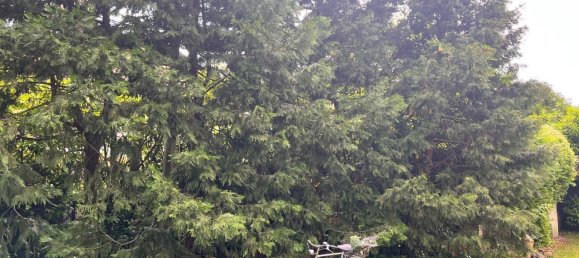 Вилла с 7 комнатами в Виллорба, Италия № 285226 38