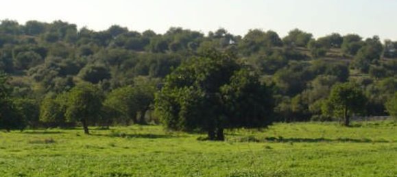 Terreno en Syracuse, Italy 295000 m² No. 244127 8