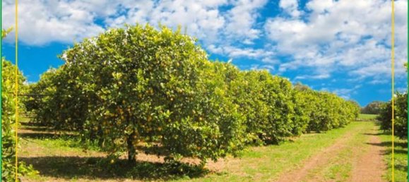 Terreno en Syracuse, Italy 295000 m² No. 244127 6