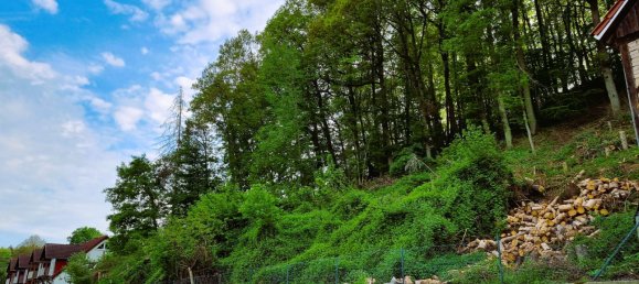  Land in Kusel, Germany No. 321067 2