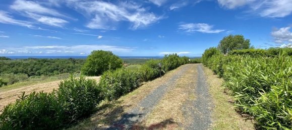 6 غرف نوم منزل في Guardistallo, Italy رقم 237036 7