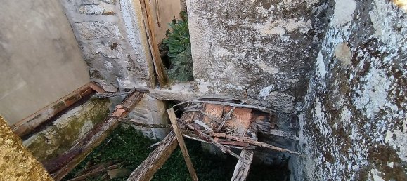 1 bedroom House in Lindoso, Portugal No. 19832 9