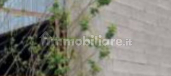 1 Schlafzimmer Wohnung in Cavarzere, Italy, Nr. 16265 5