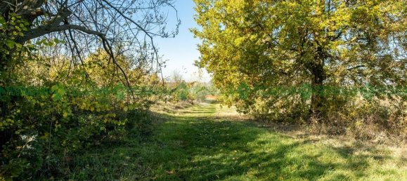 5غرفة منزل في Valsamoggia, Italy رقم 161026 4