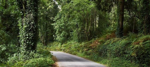 Земельный участок 1905м² в Кашкайш, Португалия № 137557 21