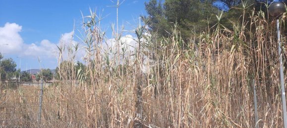 Земельный участок 1905м² в Кашкайш, Португалия № 137557 7