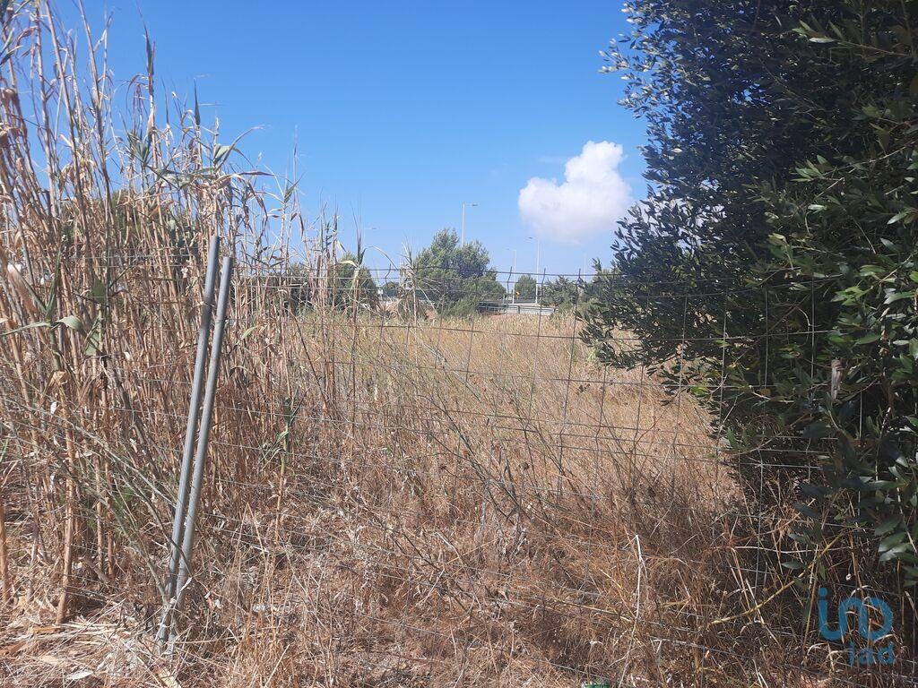 Земельный участок 1905м² в Кашкайш, Португалия № 137557