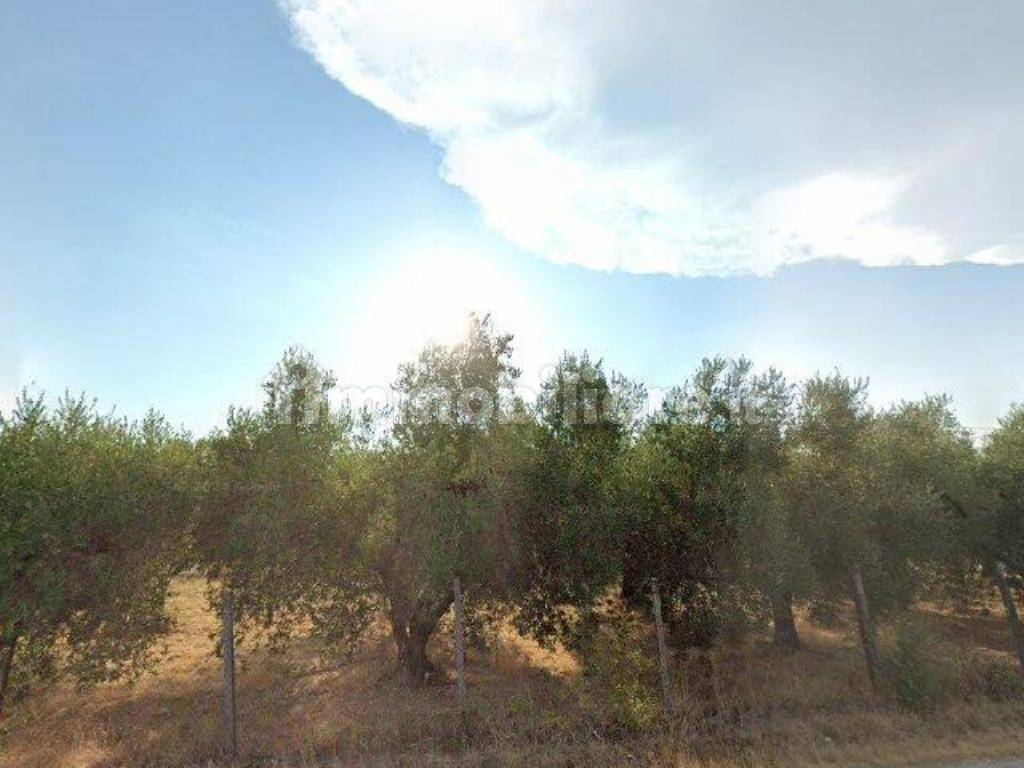 3 bedrooms Apartment in Guidonia Montecelio, Italy No. 11937