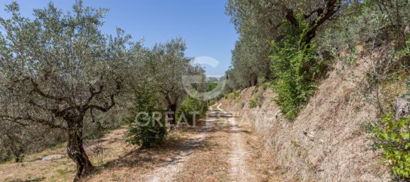 4 bedrooms Land in Assisi, Italy No. 260802 11