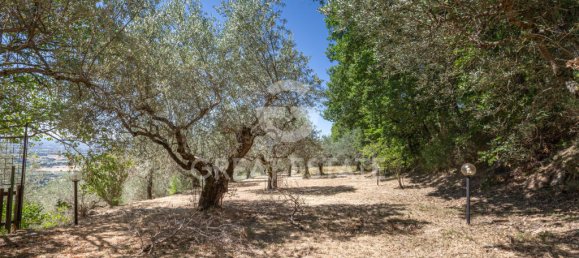 4 bedrooms Land in Assisi, Italy No. 260802 12