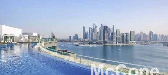 Studio in Palm Jumeirah, UAE No. 34654 12