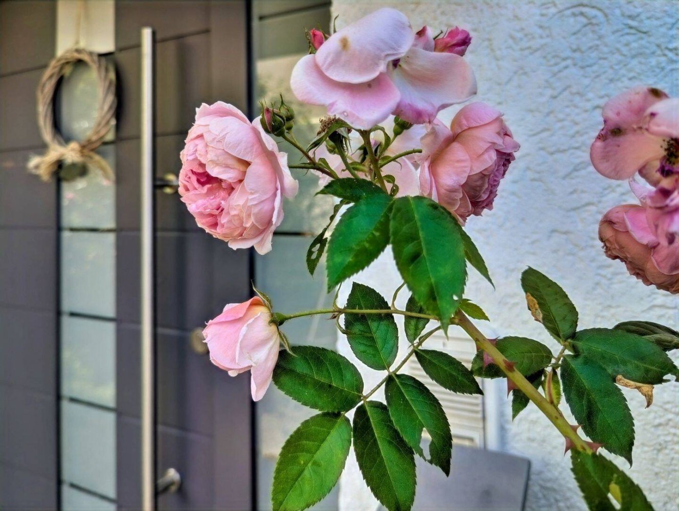 7-Zimmer Stadthaus in Esslingen, Germany, Nr. 357287