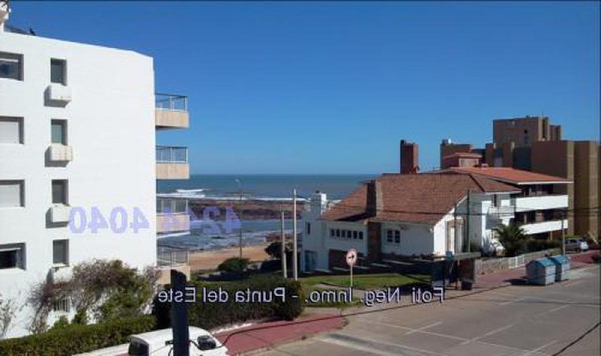 2 Schlafzimmer Wohnung in Punta del Este, Uruguay, Nr. 1253