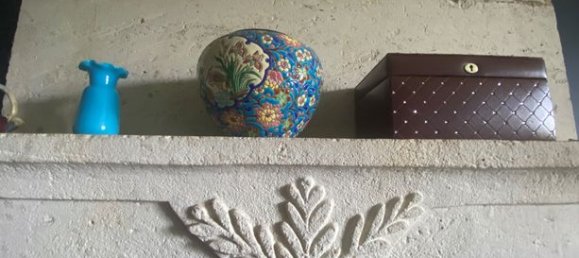 7 bedrooms House in Deux-Sevres, France No. 300723 8