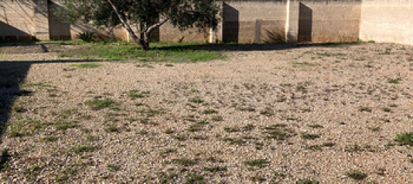 650m² Land in Maruggio, Italy No. 281783 3