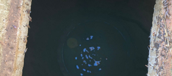 650m² Land in Maruggio, Italy No. 281783 5