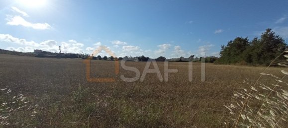 2020m² Land in Maiorca, Portugal No. 19130 2