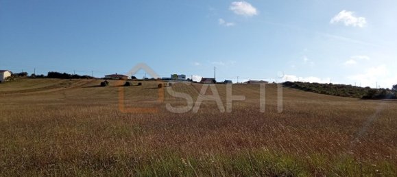 2020m² Land in Maiorca, Portugal No. 19130 4