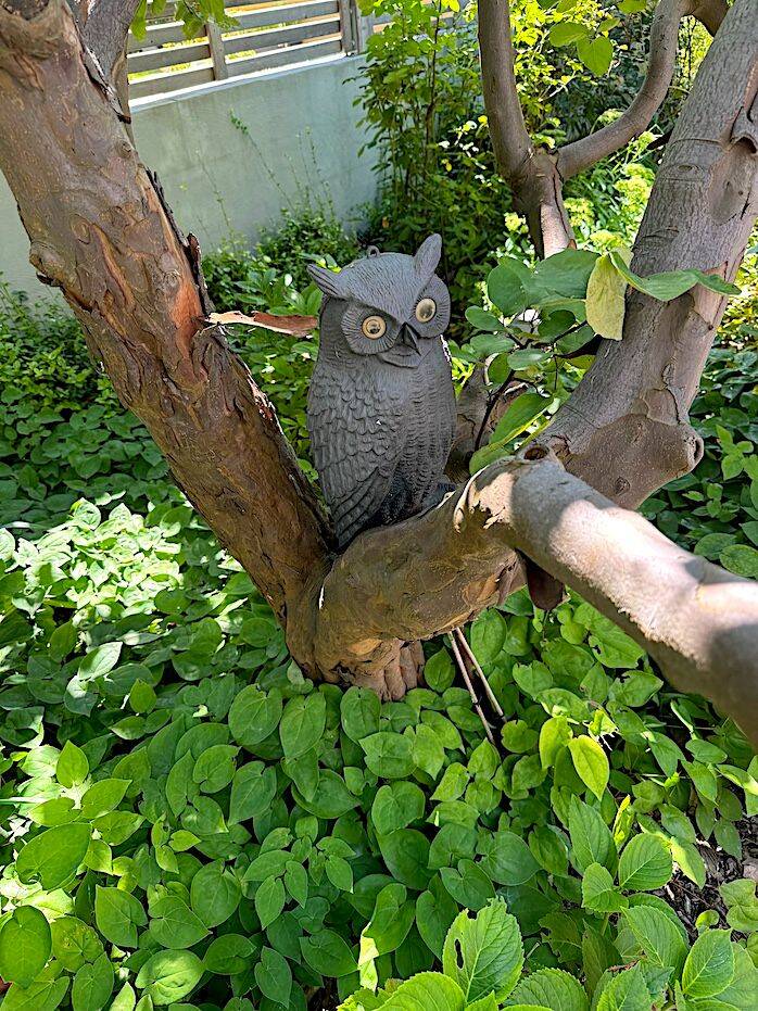 6غرفة بنغالو في Potsdam, Germany رقم 220805