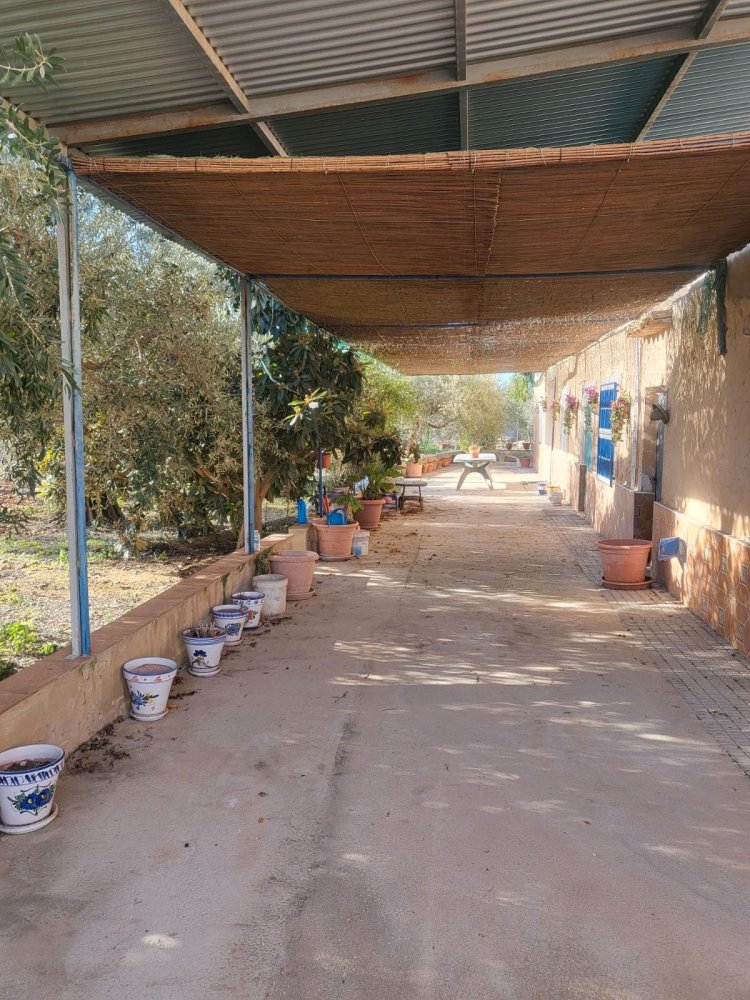 Casa de 6 dormitorios en Hellin, Spain No. 113953