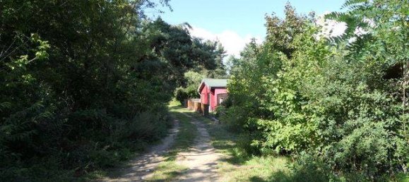 Bungalow de 3 divisões em Potsdam-Mittelmark, Germany N.º 292743 34