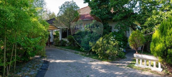 8 rooms Villa in Agrate Conturbia, Italy No. 297827 41