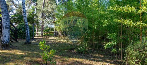 8 rooms Villa in Agrate Conturbia, Italy No. 297827 43