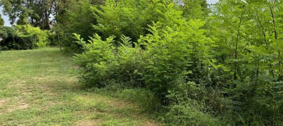 Terrain à Santa Maria di Sala, Italy 2850m² No. 165662 4