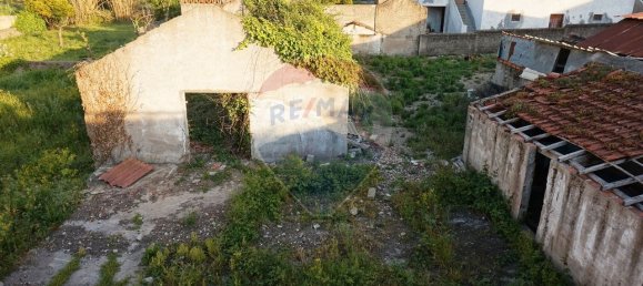 5 bedrooms House in Granja do Ulmeiro, Portugal No. 178368 11