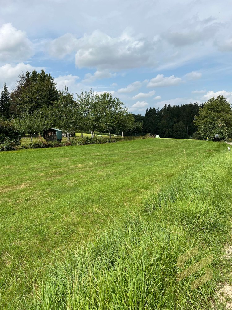  Land in Augsburg, Germany No. 249257