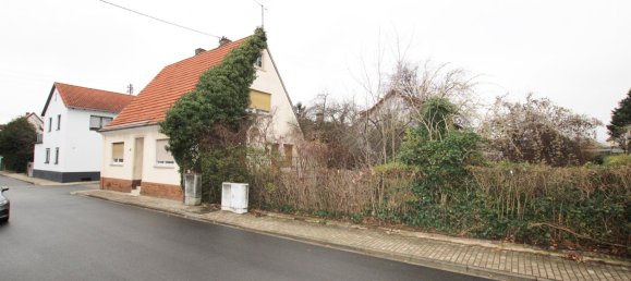 6 rooms House in Rhein-Neckar-Kreis, Germany No. 11892 7