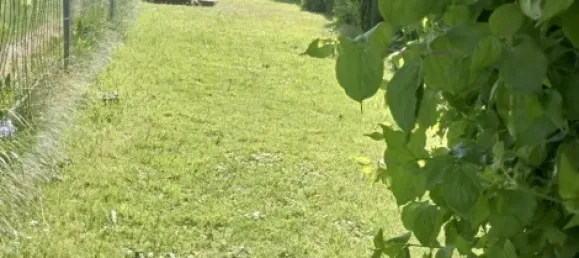 Apartamento T2 em Lippe, Germany N.º 231414 2