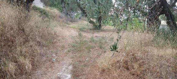  قطعة أرض في Zakynthos, Greece رقم 535 14